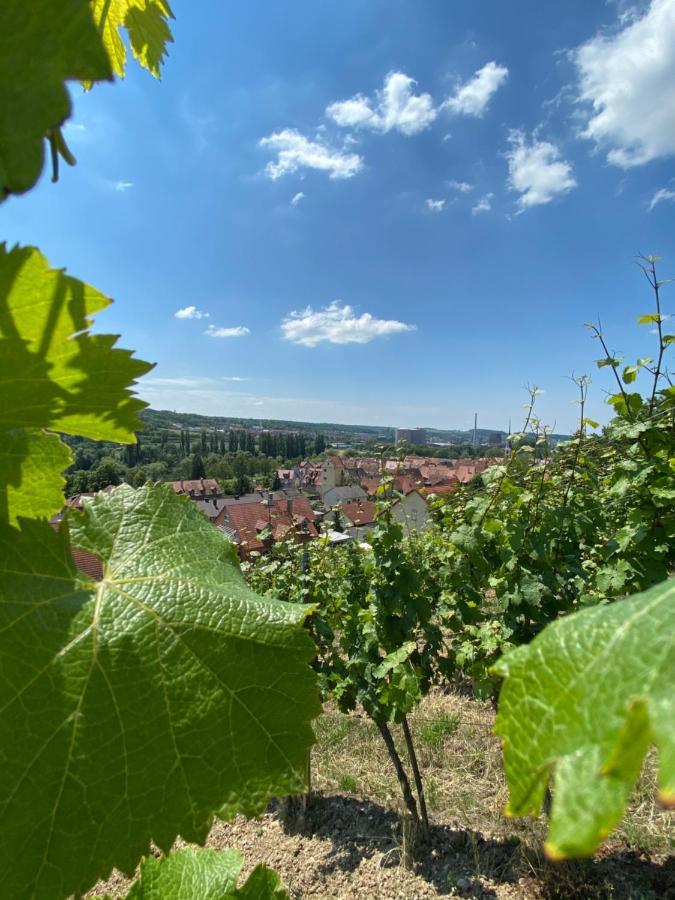 Ferienwohnung Wohlsein Frickenhausen am Main Kültér fotó